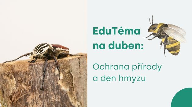 EduTéma na duben: Ochrana přírody a den hmyzu